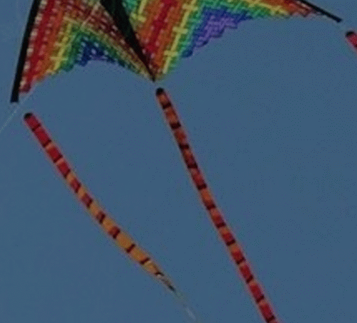 Kites Festival, The, Long Beach, California
