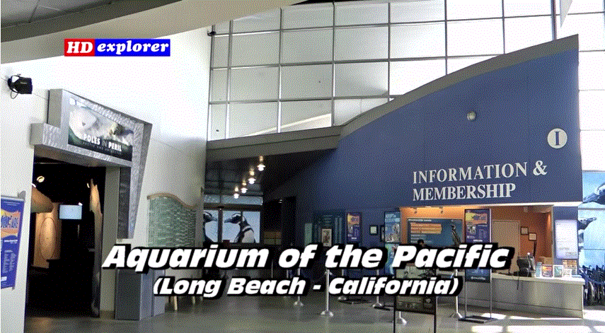 Aquarium of the Pacific (Long Beach - California)
