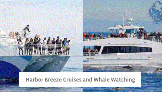 Harbor Breeze Cruises and Whale Watching